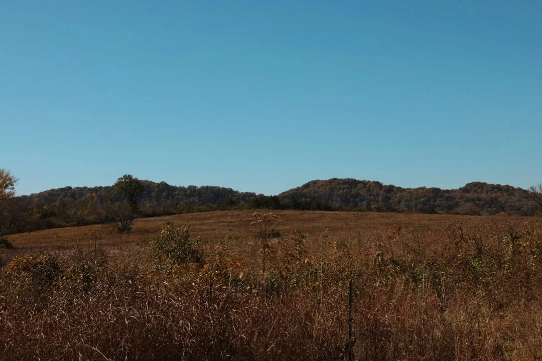 A really beautiful time to explore the Bells Bend Conservation Corridor, a rural, agricultural and recreational asset for the local community and all of Nashville. The expanse of land that lends to the Bend&rsquo;s beauty and vitality can also attrac
