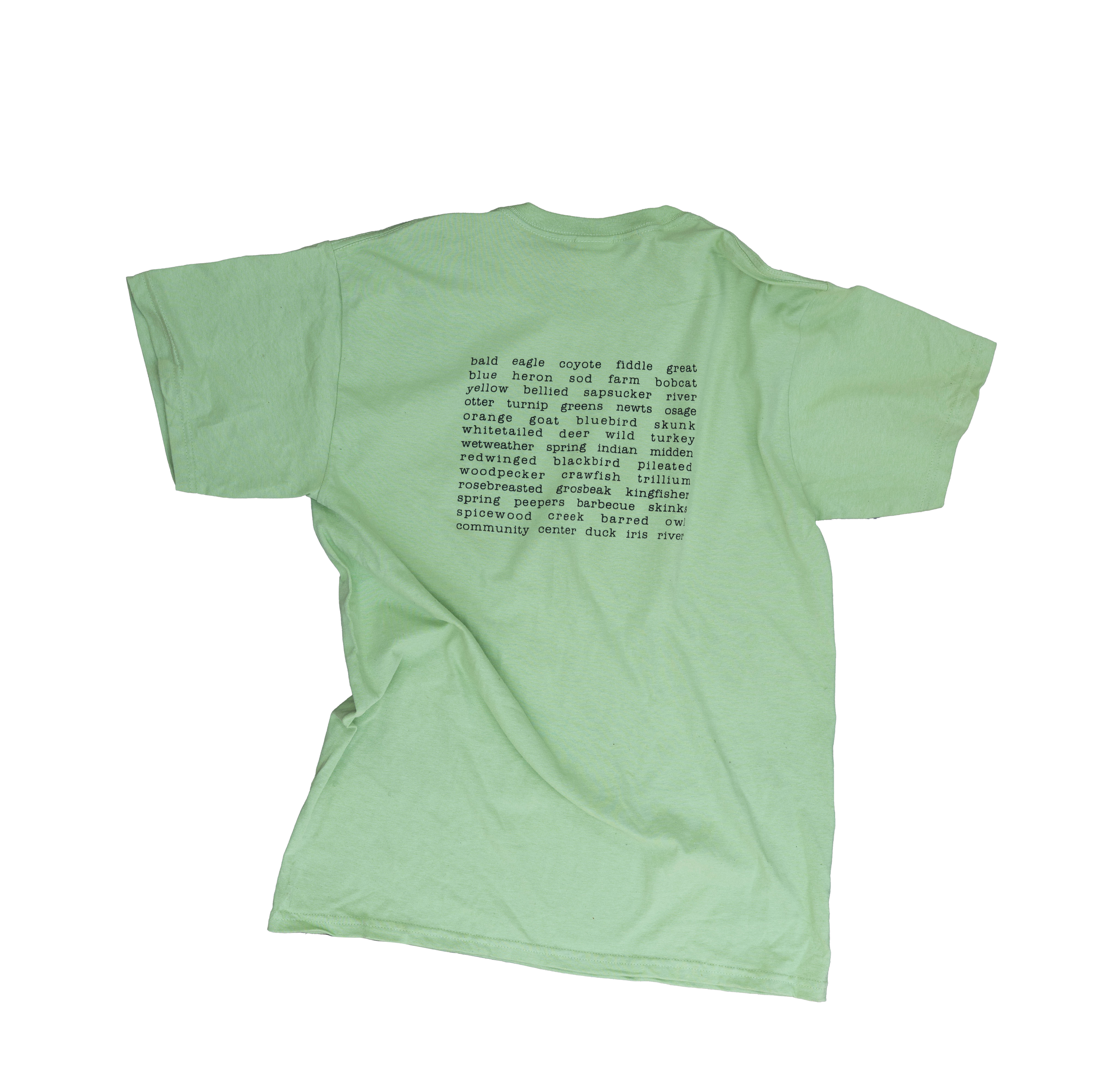 Retro Shirt-green-back-whitebg.png
