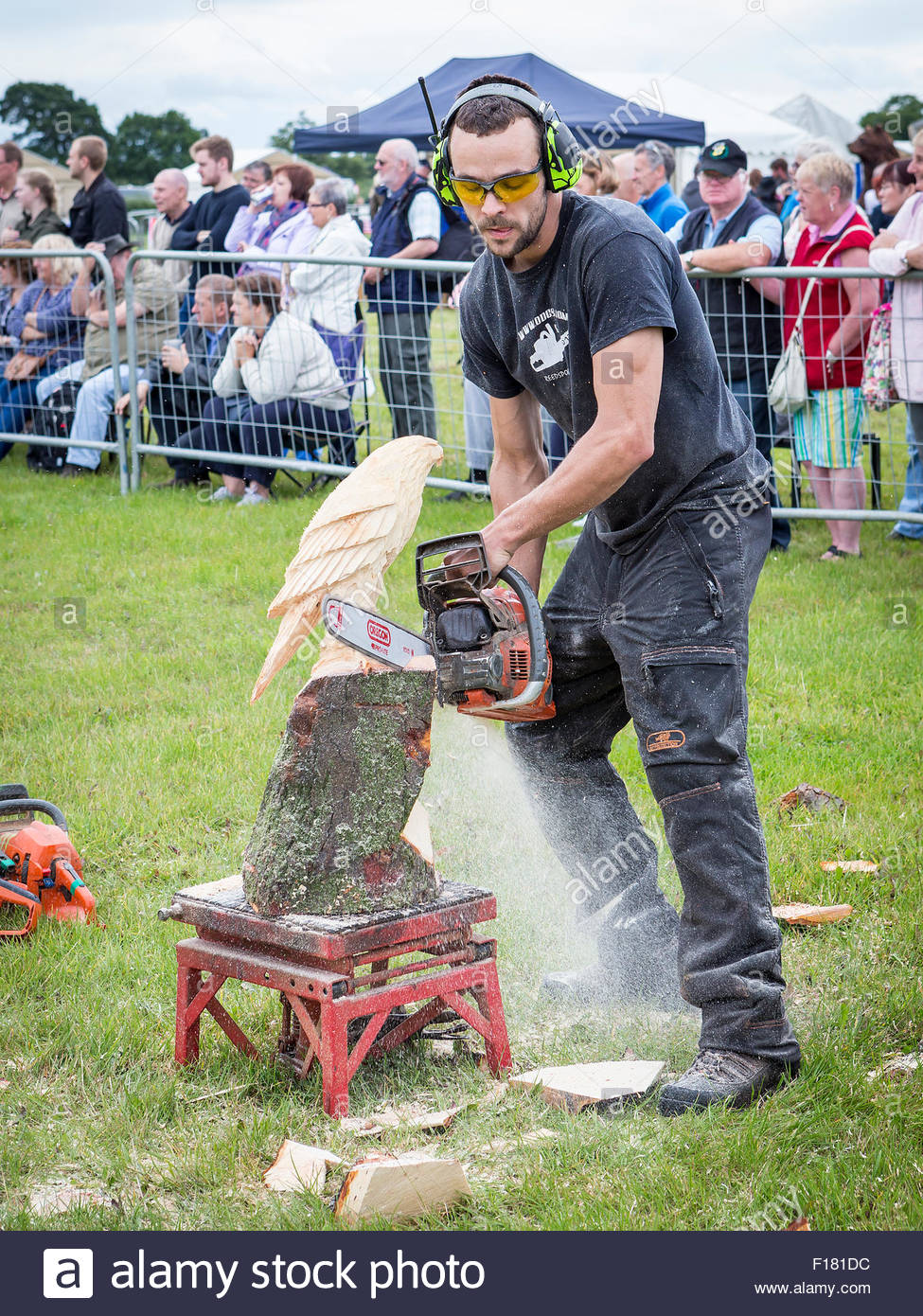 Danny Thomas Chainsaw Carving