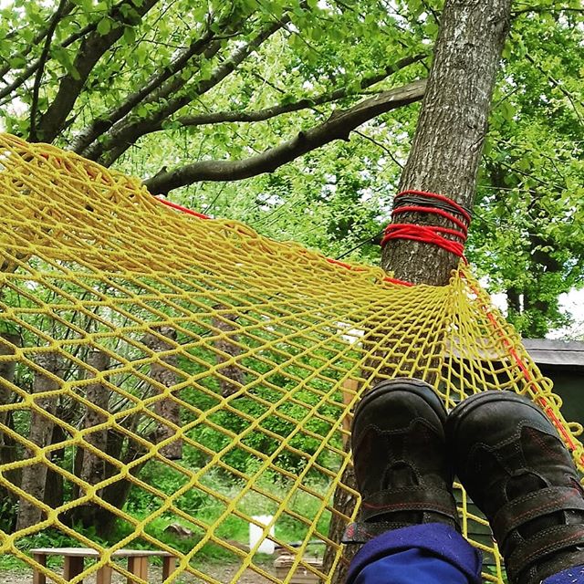 Forest School today! The new net gave new sky views and a weevil joined us in the log circle!
#forestschool #outdoorplay