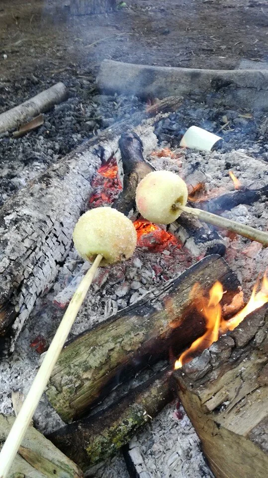 applesfire.jpg