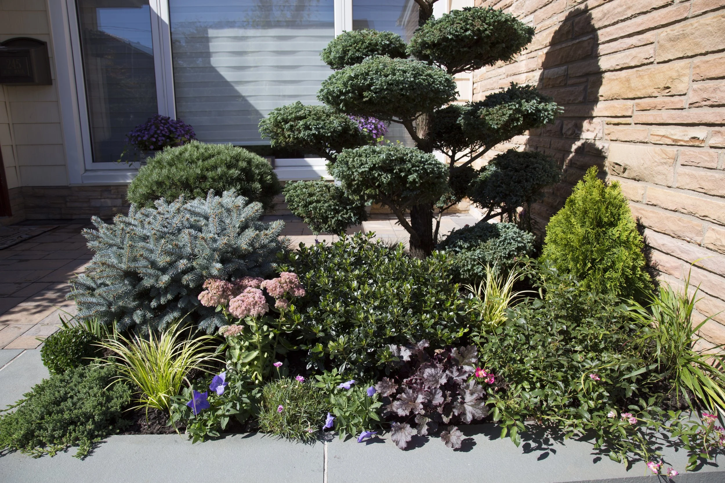 Sweet Clover Landscapes