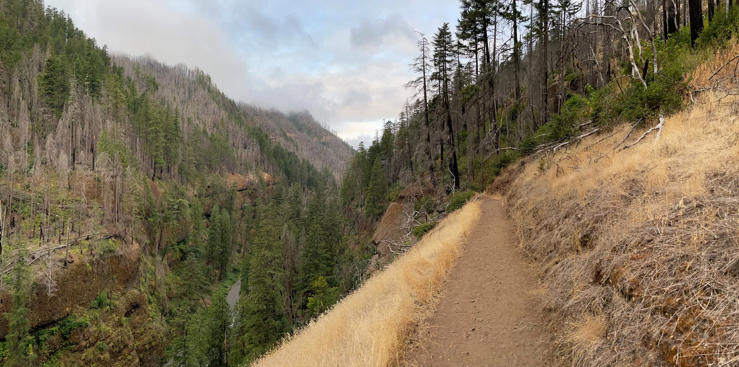 PCT Days and Upcoming Events