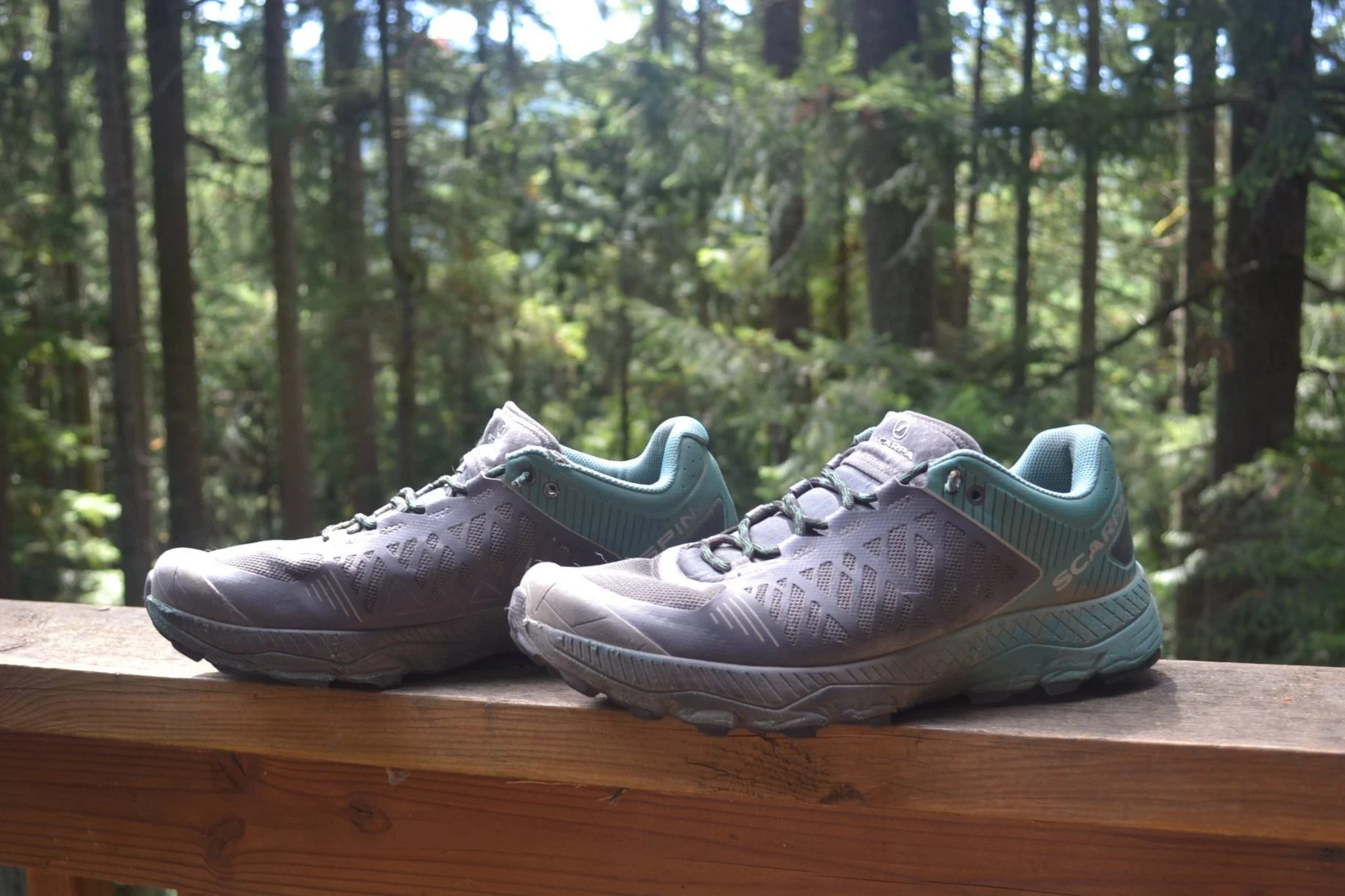 Used &amp; Abused | SCARPA Spin Ultra