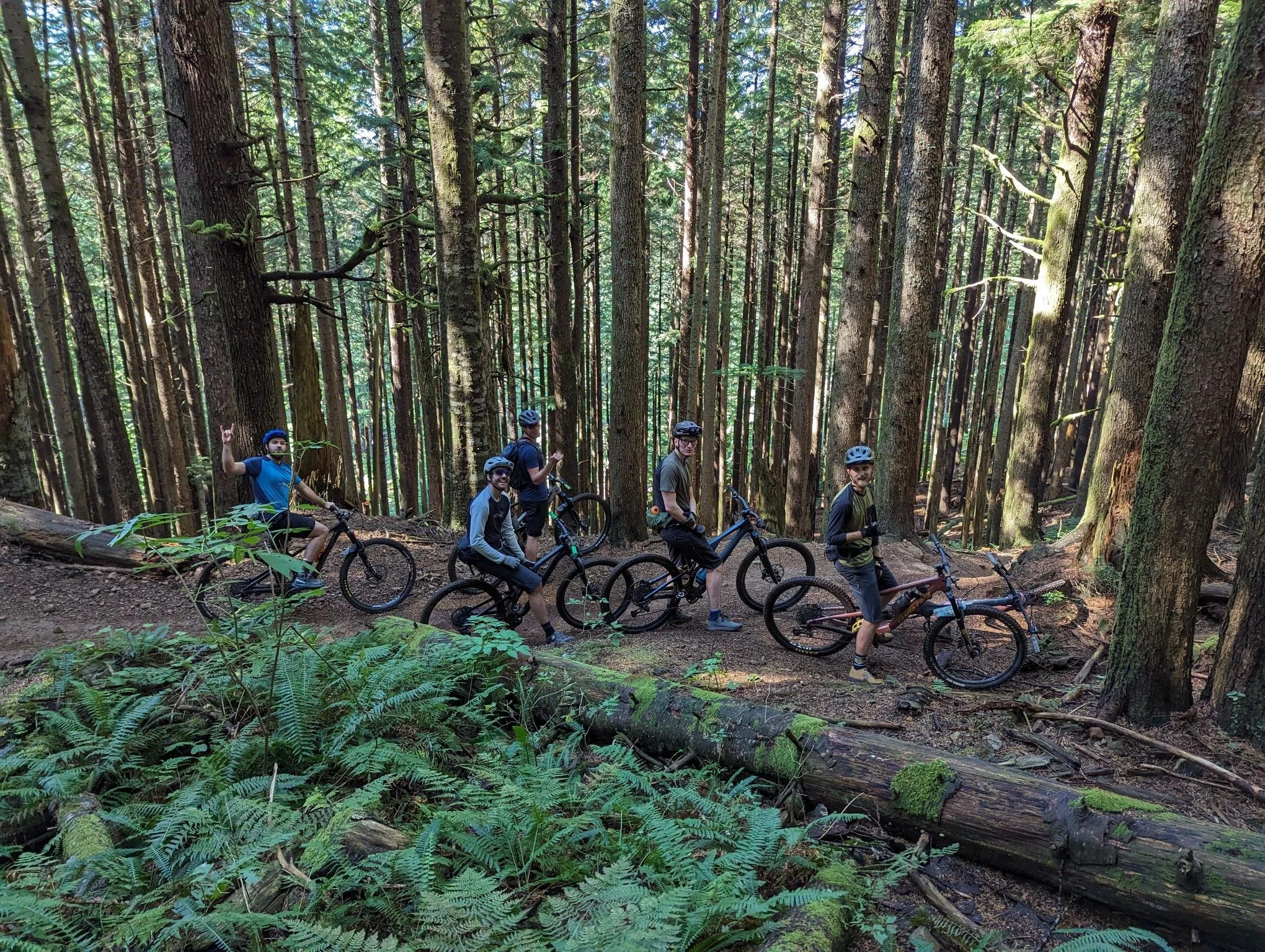 Trip Report | Team Day at Tiger Mountain