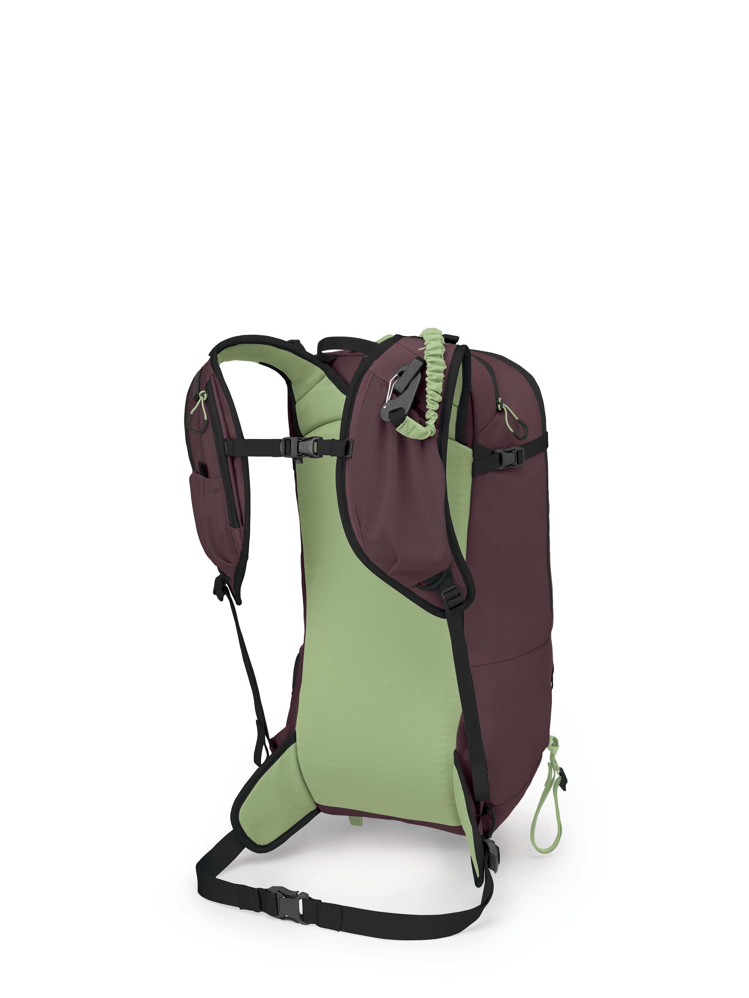 Firn_18_F24_SideBack_ElderberryPurplePeppermintGreen.Jpg