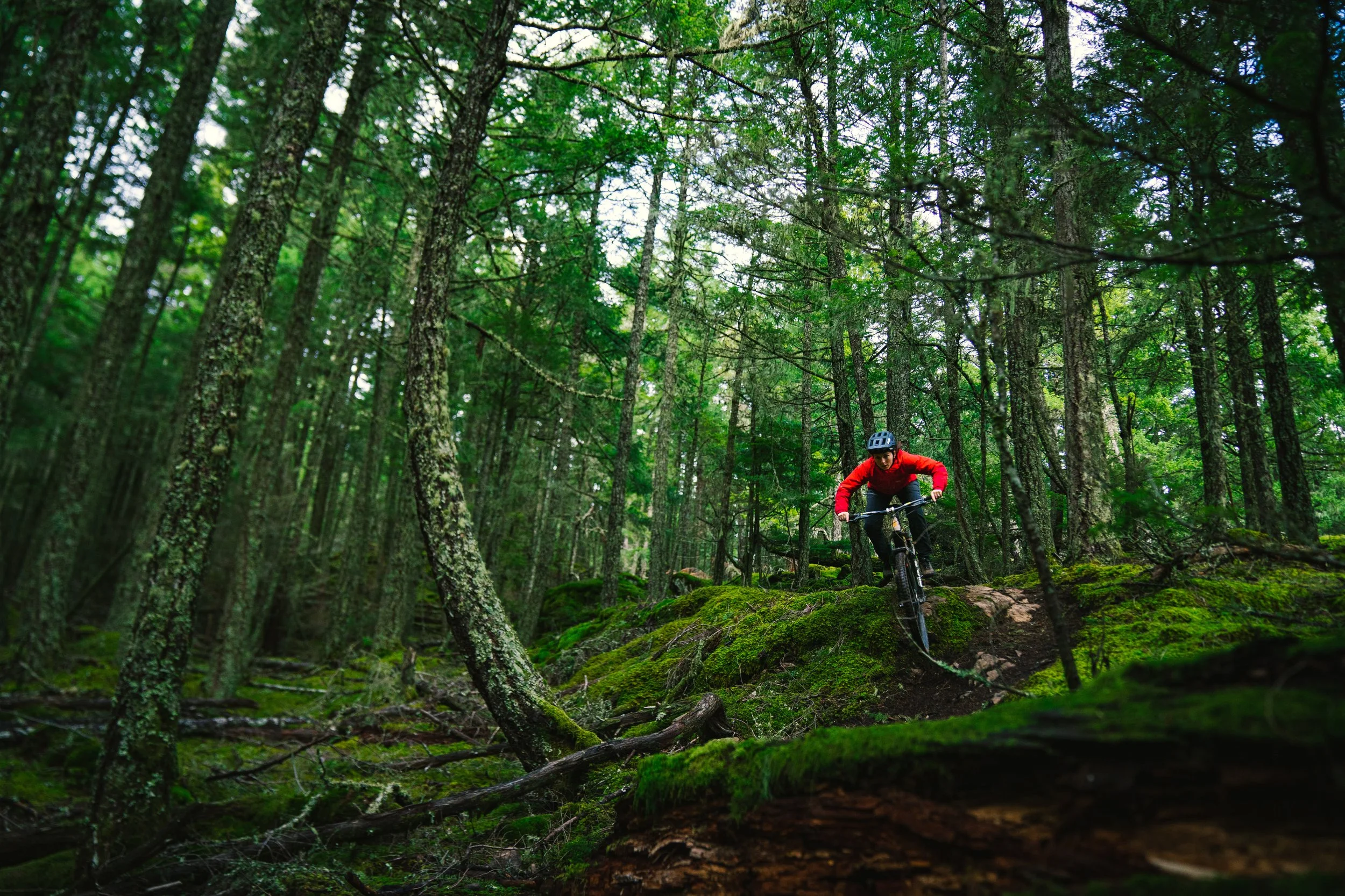 dcupp-mtb-jan-05 copy.jpg