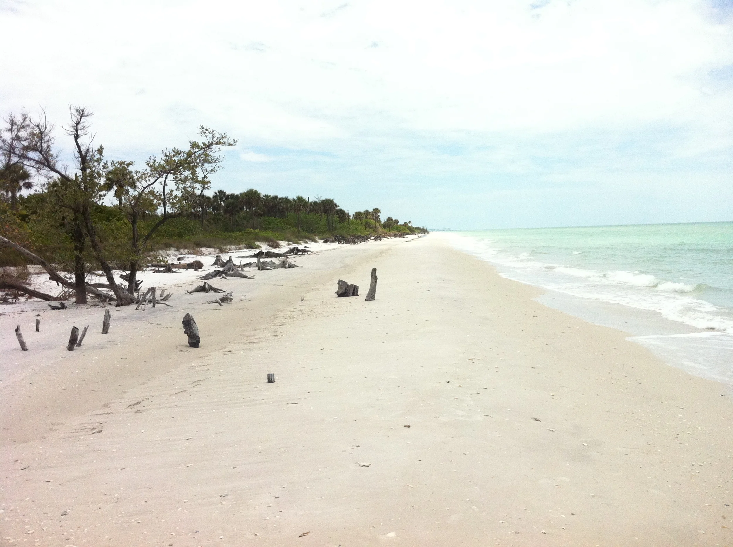 December 23rd 2015 007.JPG