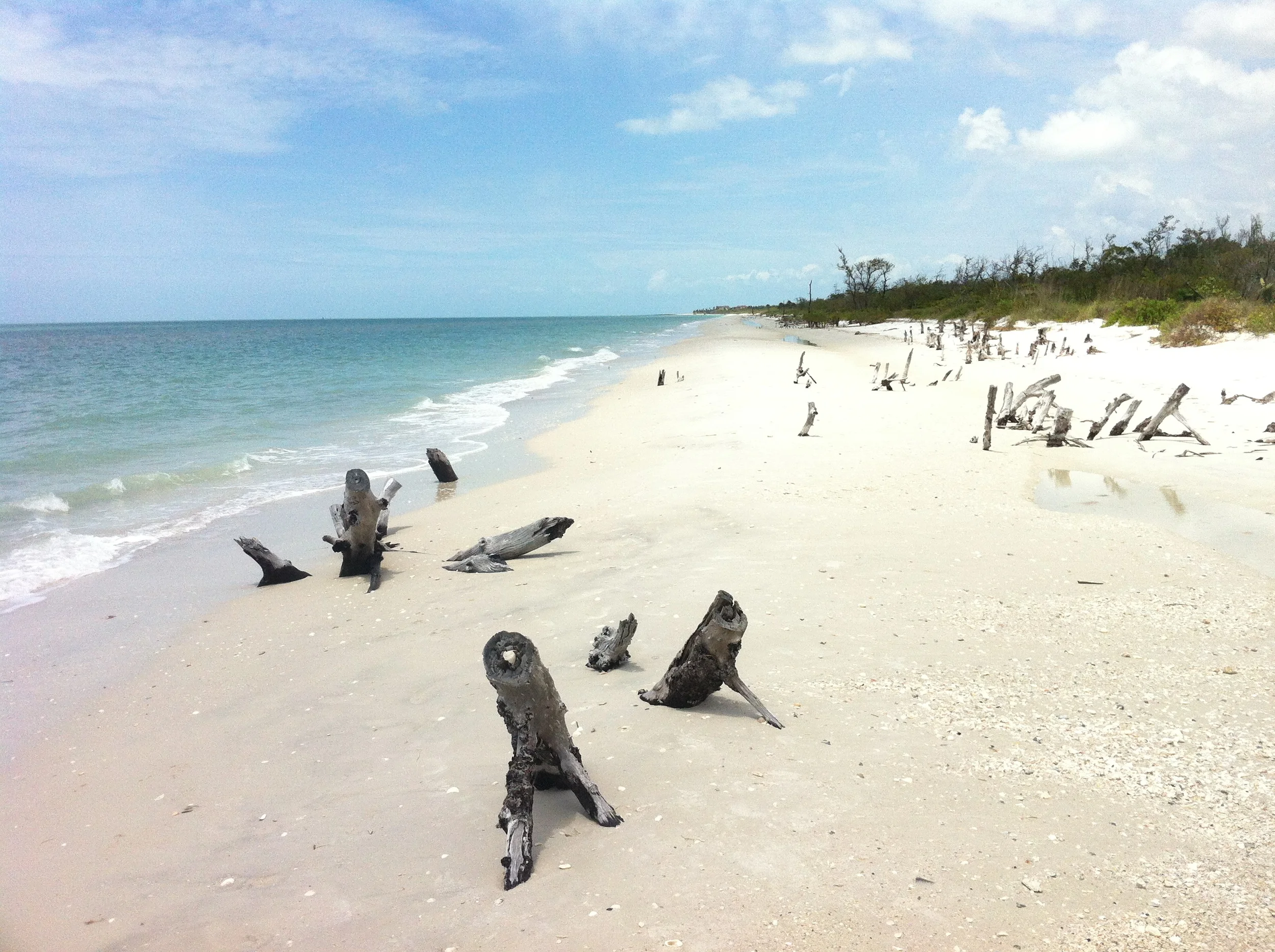 December 23rd 2015 009.JPG