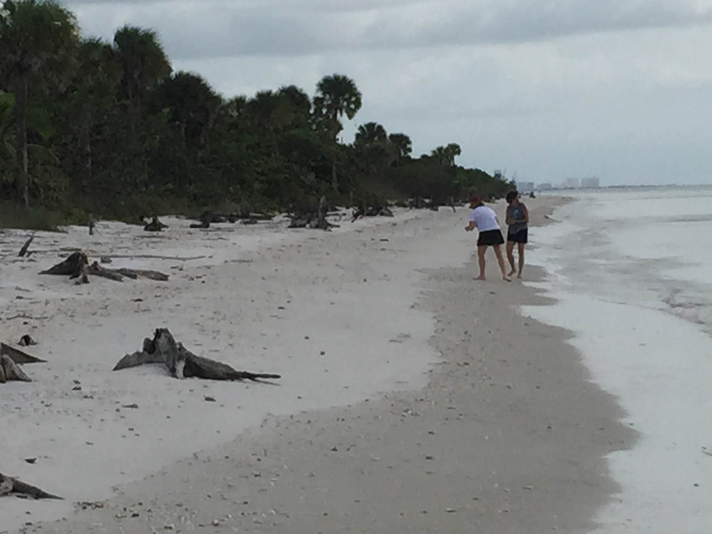 December 23rd 2015 1420.JPG