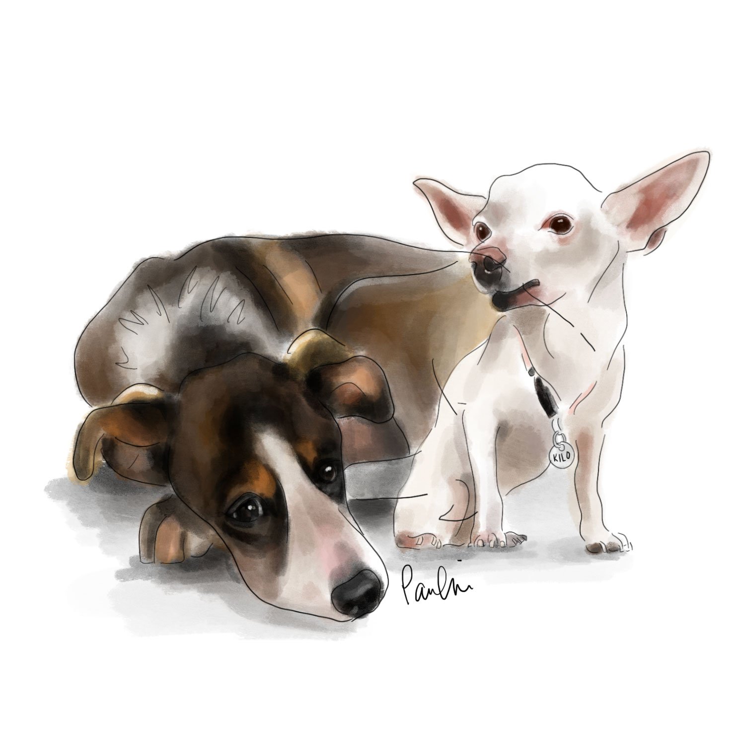 Ellie_+_Kilo.jpg