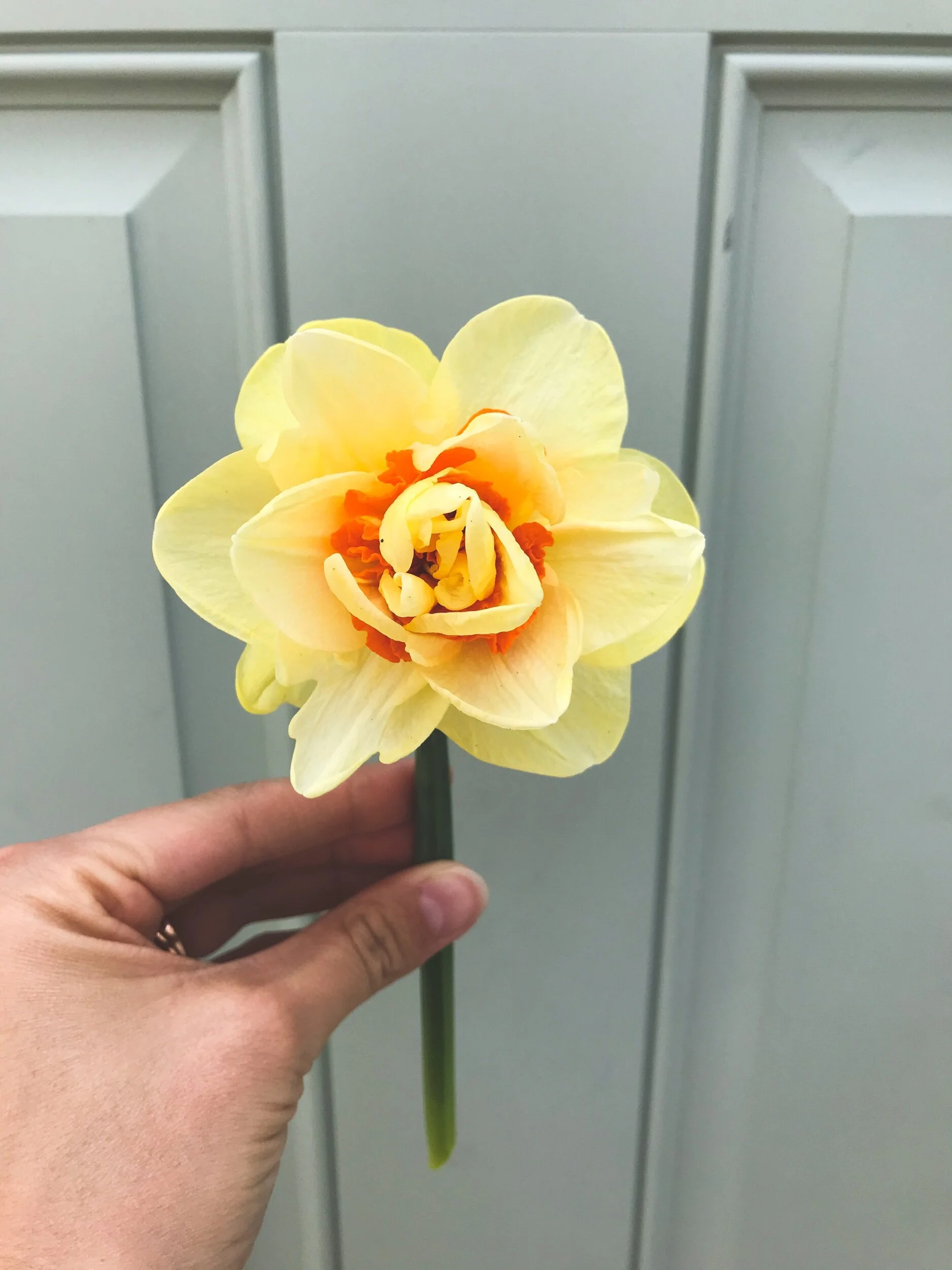 F6747A76-BCB0-4E3C-9F6B-3095C5EA87AF