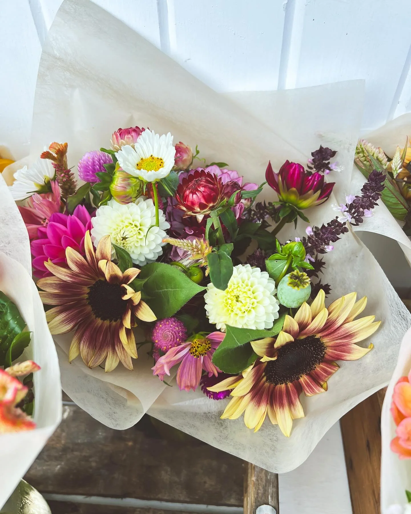 From farm to cart! Here to meet your flower needs this weekend! 🩷🩷🩷

#localbloommarket #localbloomflowertruck #shelovesflowersandhelovestrucks #localflowers #indiana #flowertruck #houseplants