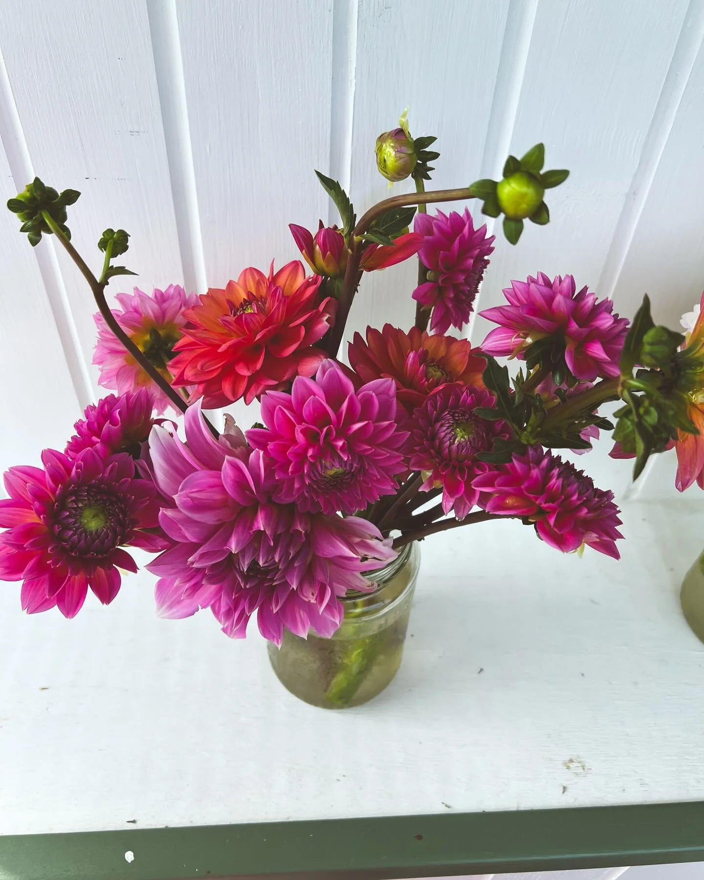 Reserve a bundle for pickup!! Mention corresponding photo # 1, 2, 3, 4, 5, 6, 7, 8, 9, and/or 10 in comments! We will wrap them up for you individually or separately depending on your preference. Mix and match for a full bouquet with multiple varieti