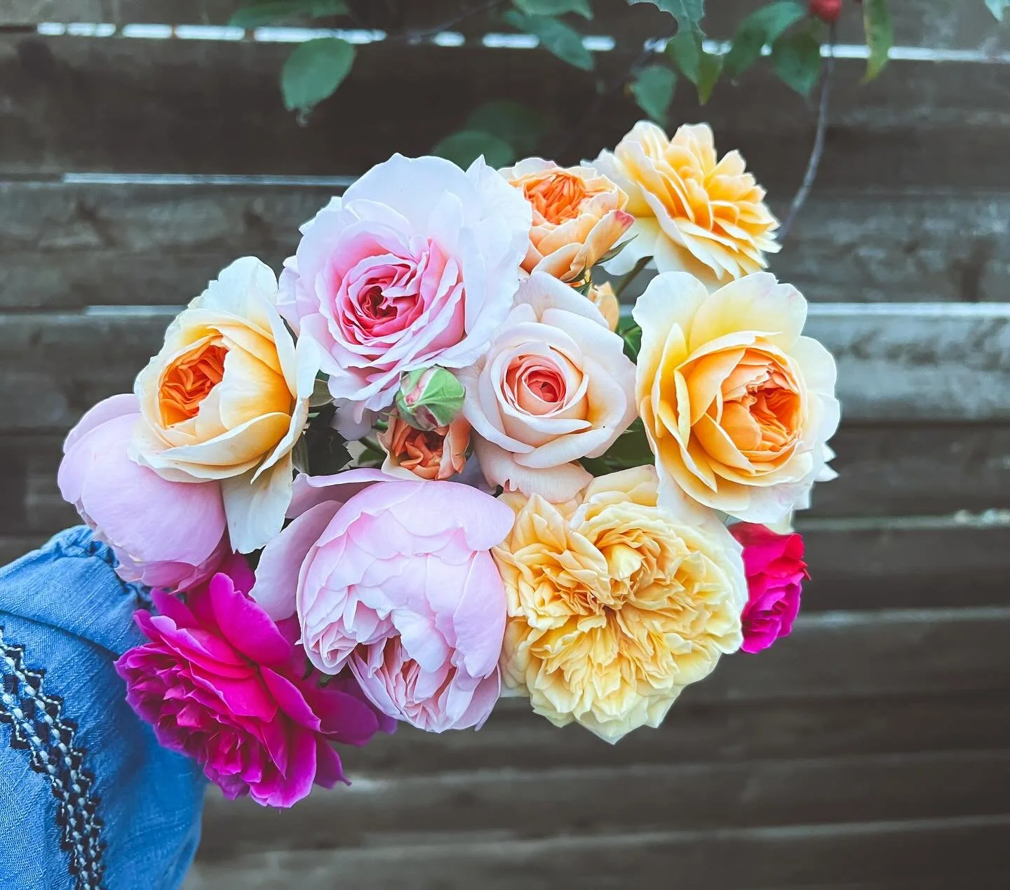 Over here in NOVEMBER still cutting my absolute favorite flower!!! Whaaaaat? I am not complaining though ☺️ isn&rsquo;t she lovely?!

#localbloommarket #localbloomflowertruck #shelovesflowersandhelovestrucks #localflowers #indiana #flowertruck #house