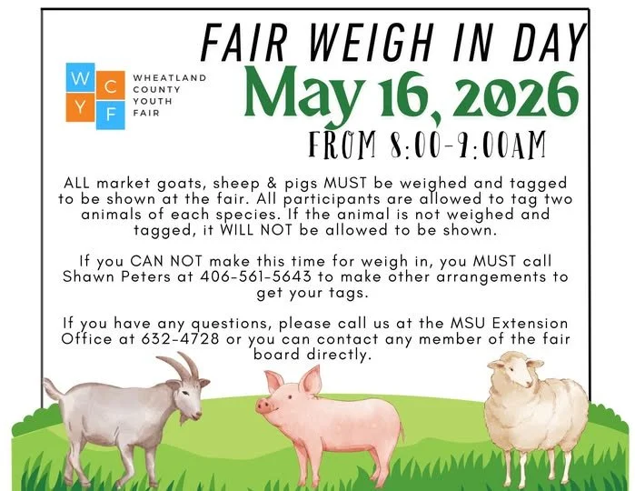 Fair Weigh in Day