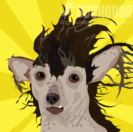 LucilleBaldYellow.png