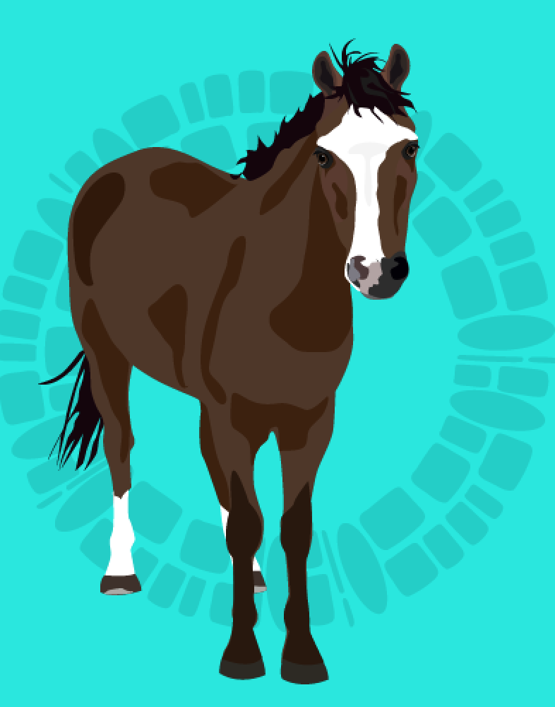 Screen Shot 2016-12-13 at 6.16.21 PM.png