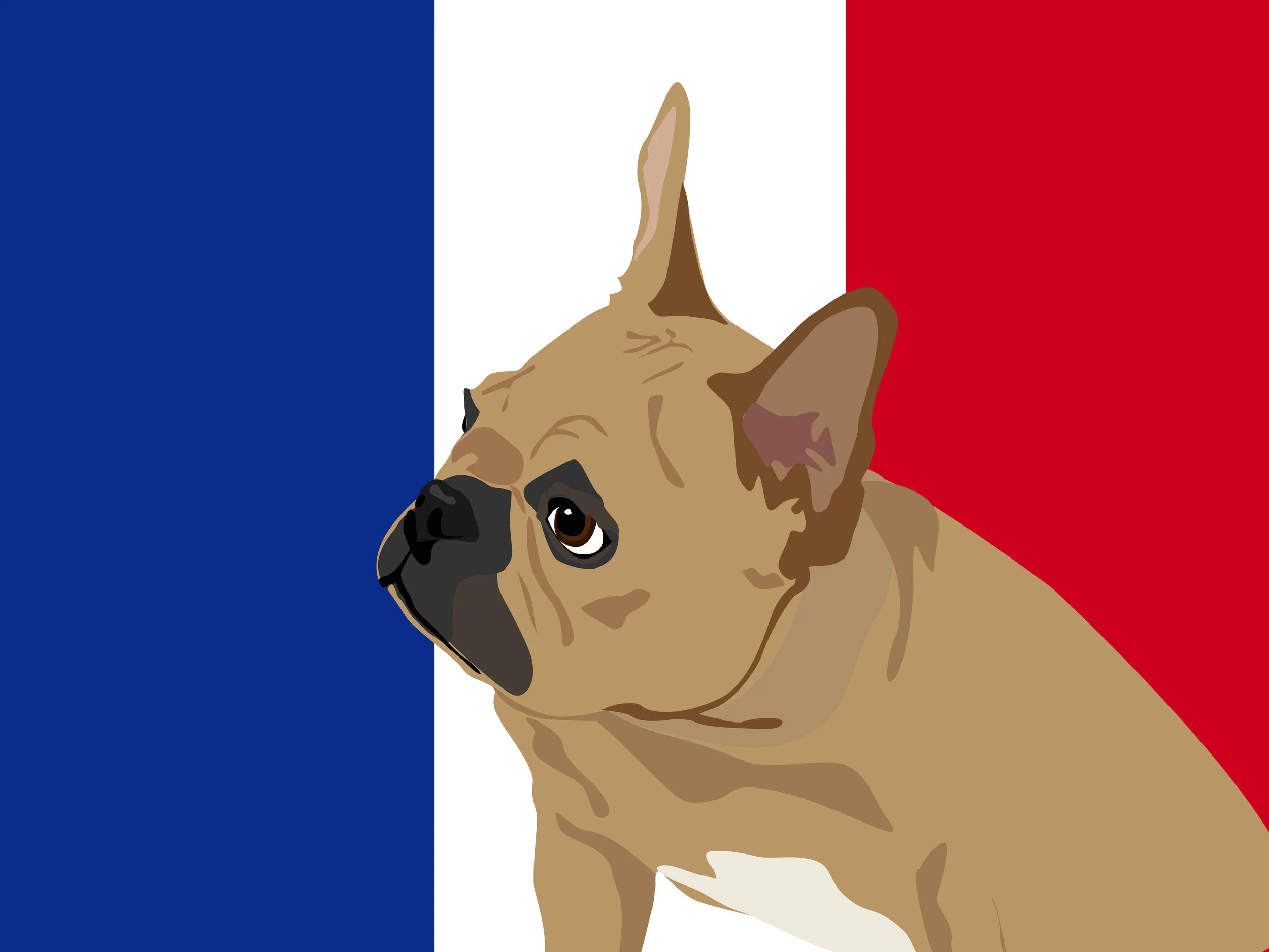 FrenchieClaudette.jpg