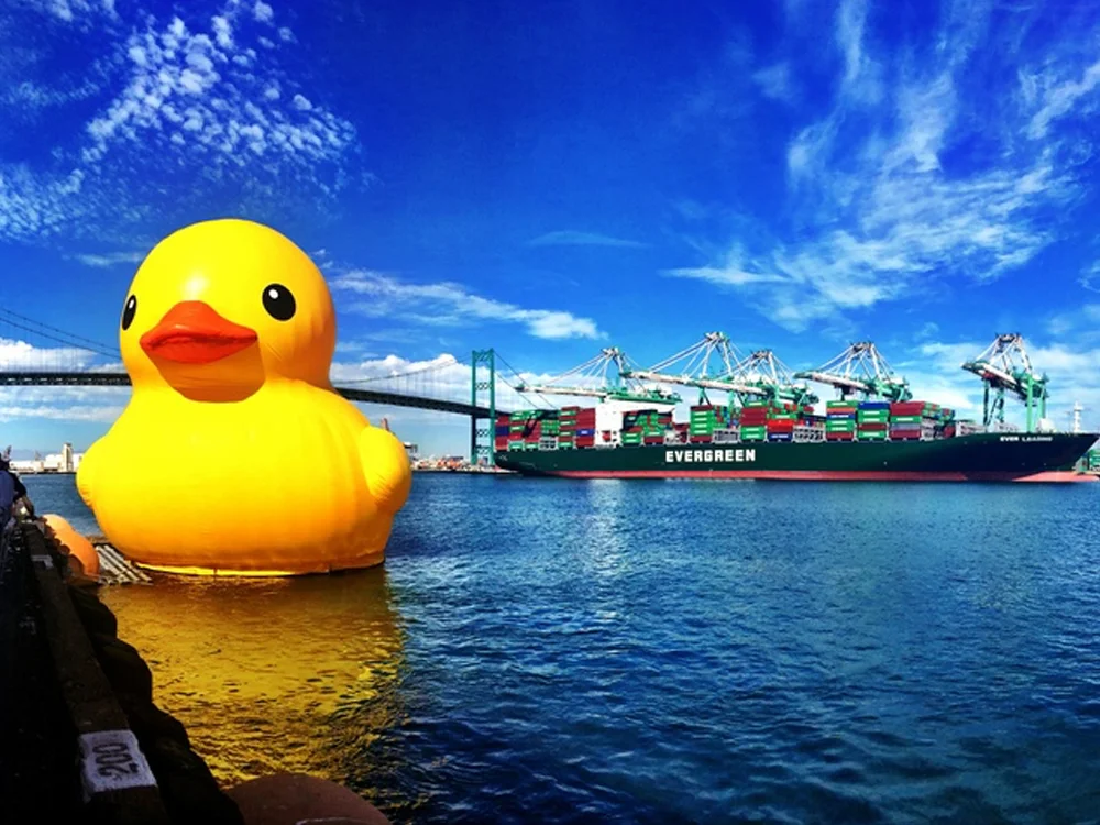 duck.jpg