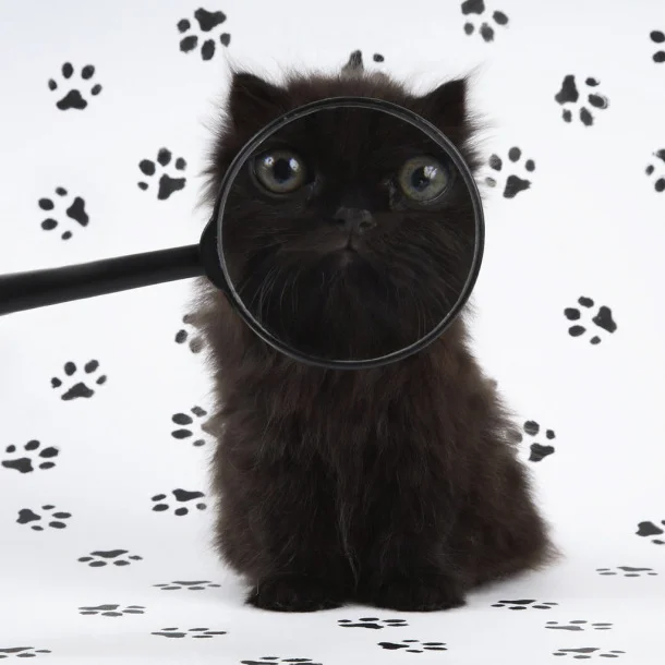 Adding some randomness to my life!!!