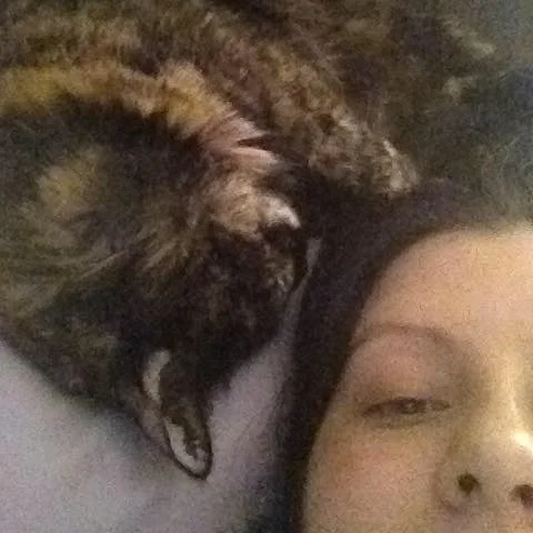 This month I lost a special piece of me... my Bella.