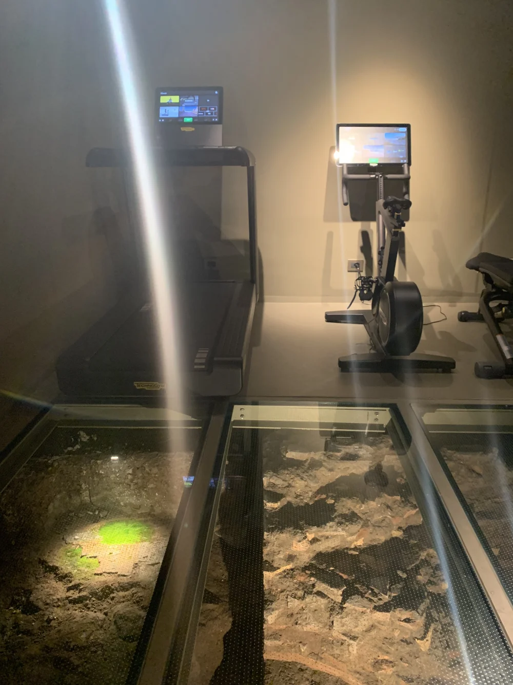 Radisson Collection - gym 2.jpeg