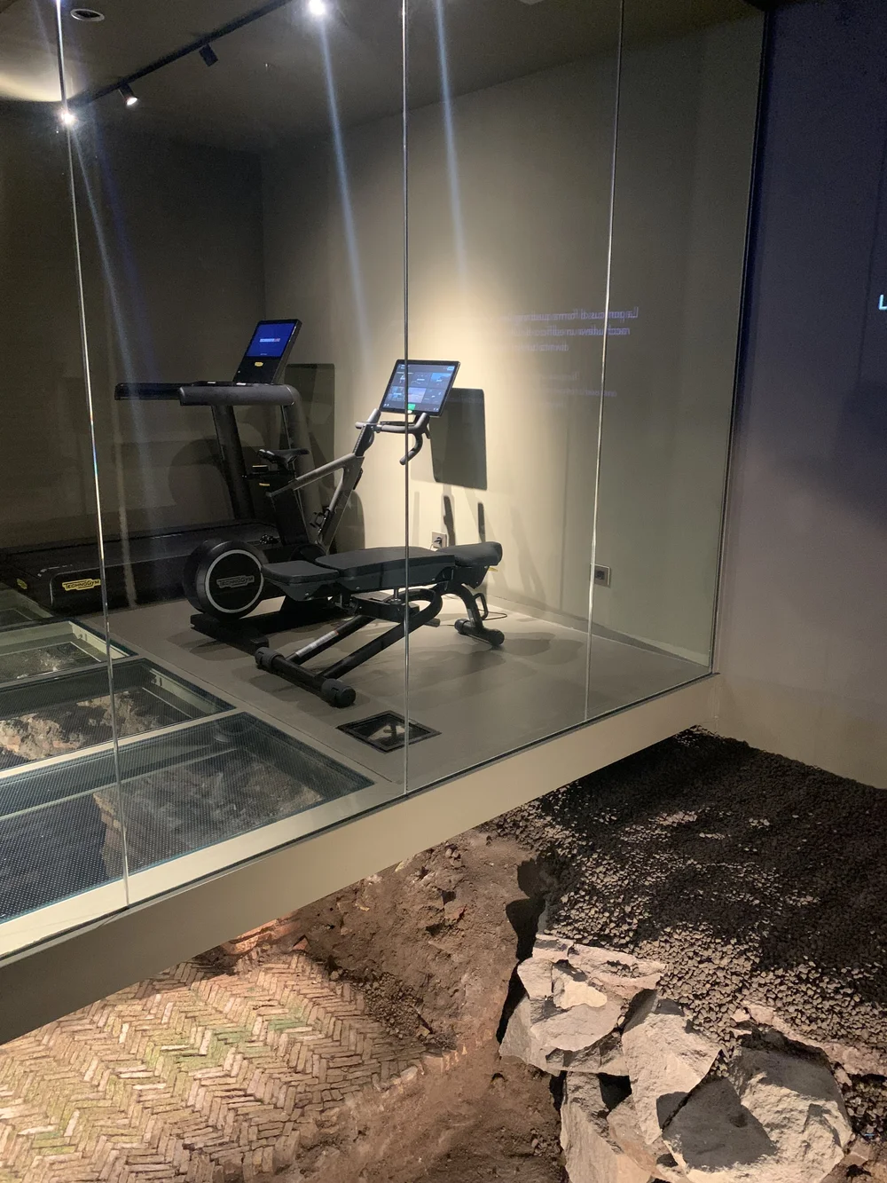 Radisson Collection - gym 1.jpeg