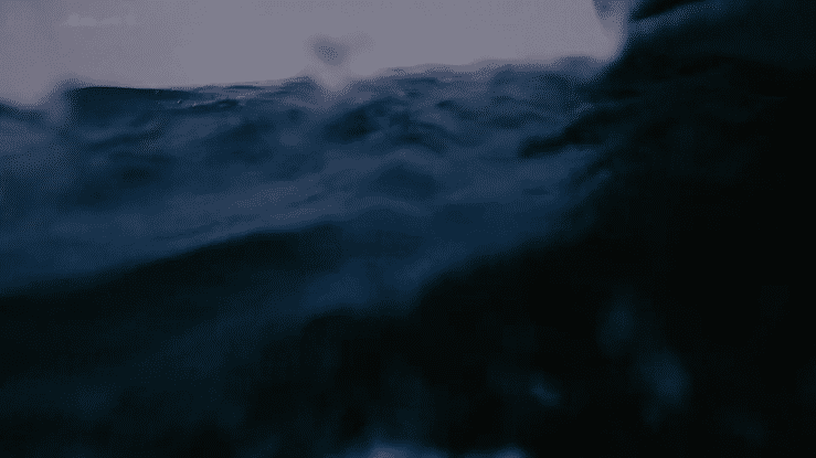 Fresh Thyme Immersion - Agency Cut-high.gif