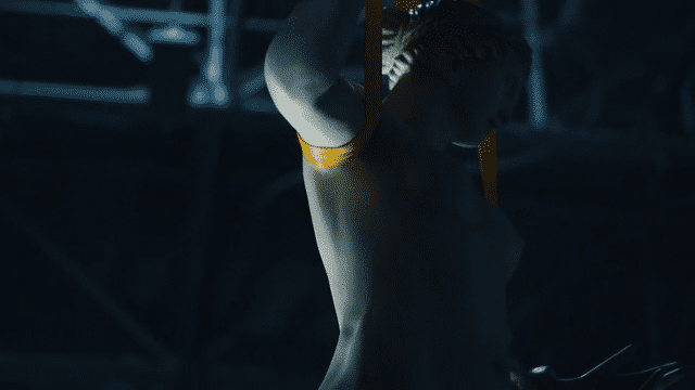 Dehnco | Statues Long Form-low.gif