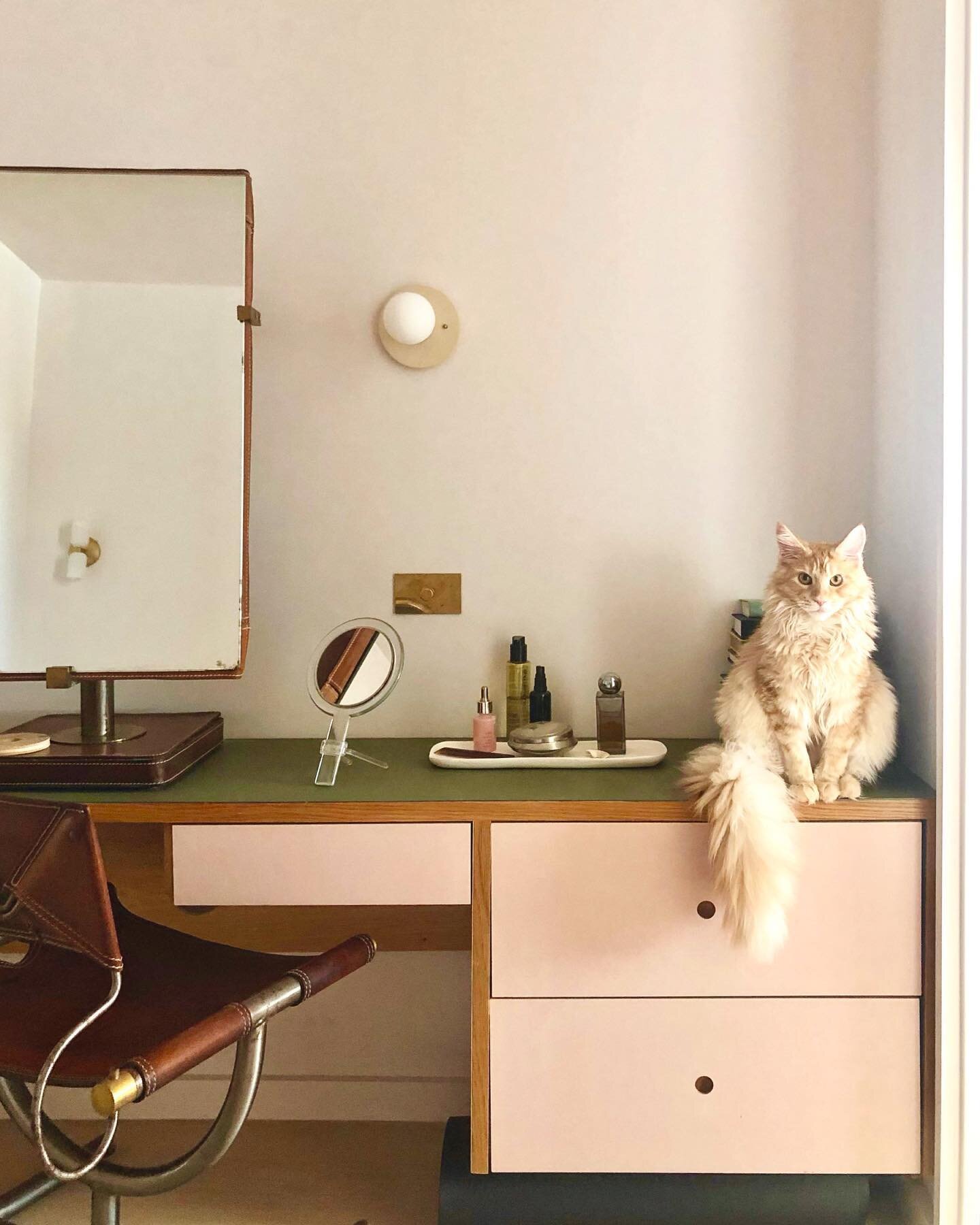 Behind the scenes footage of Jolene the Maine Coon from the Clinton Hill renovation.  She&rsquo;s a perfect color compliment to this vintage Afra &amp; Tobia Scarpa vanity set and the custom linoleum clad millwork. 

#tobiascarpa #forbo #interiordesi