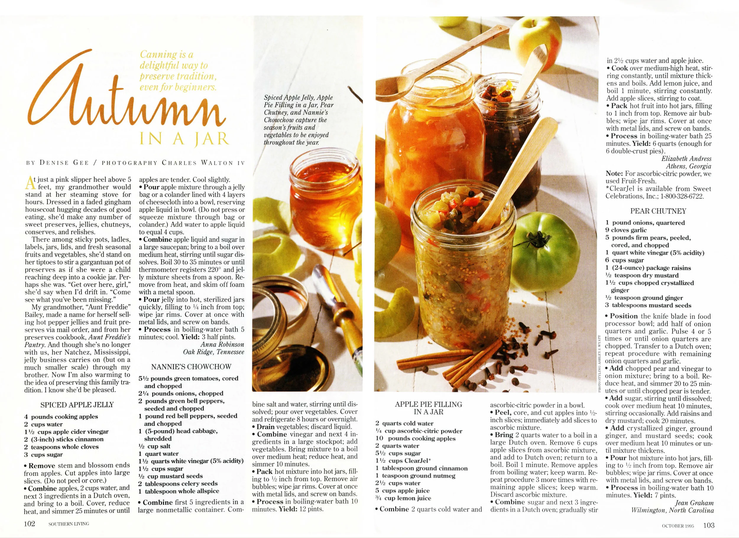 Autumn in Jar-cover.jpg