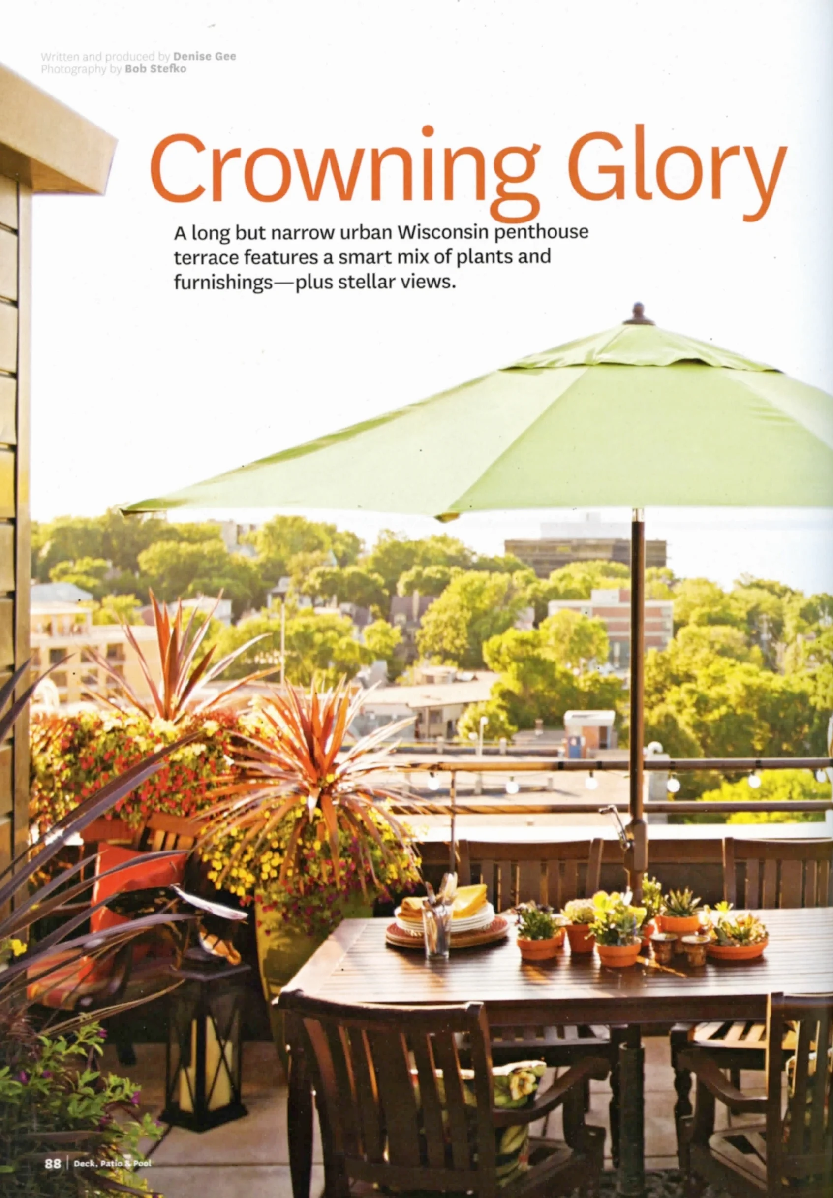 "Crowning Glory" (Deck, Patio & Pool/Meredith)
