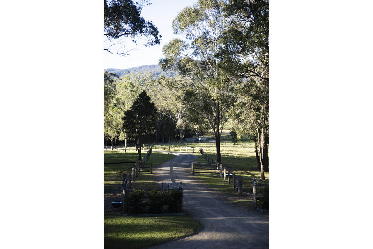 HunterValleyRetreat-by-Lynne-Bradley-Interiors_171.jpg