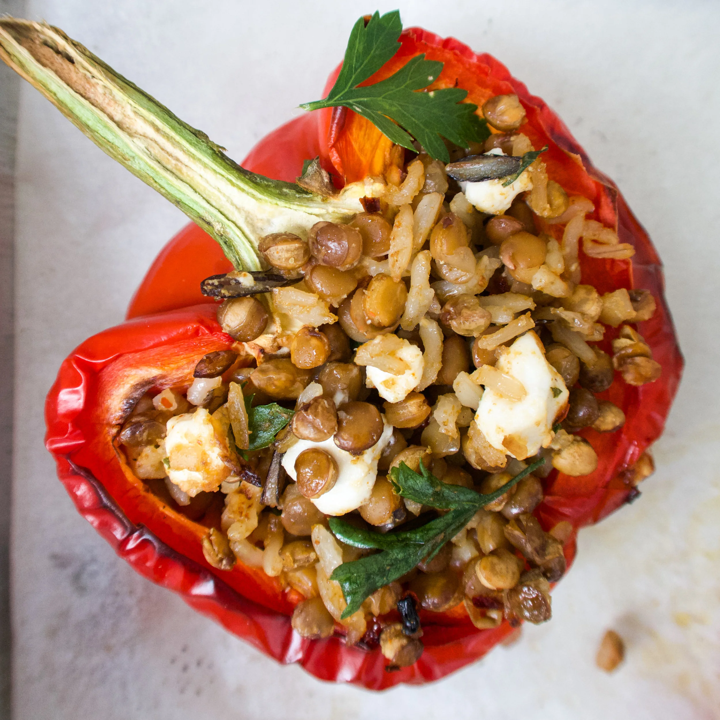 Capsicum cups 2.jpg