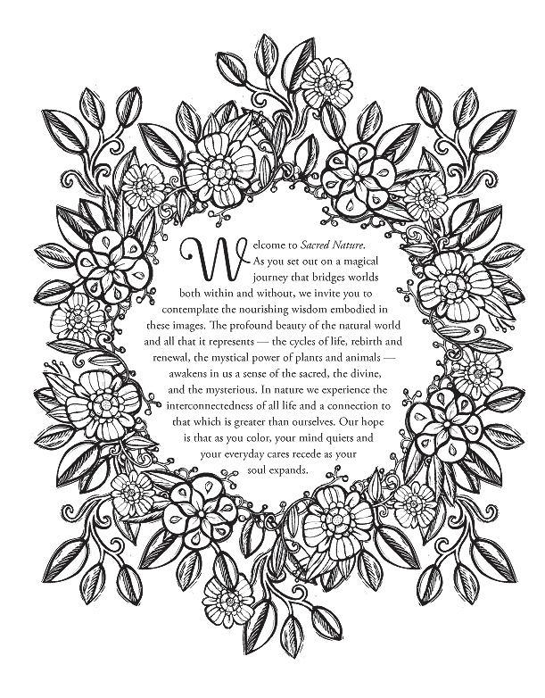 Sacred Nature Coloring Book Lydia Hess Illustration Design