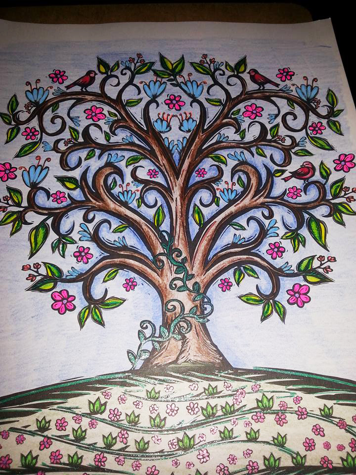 Sacred Nature - A Coloring book for Adults