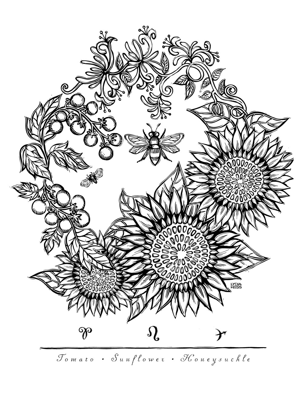 Sacred Heavens Zodiac Coloring Book Lydia Hess Illustration Design