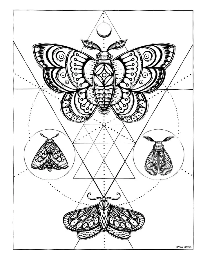 Download Sacred Animals Coloring Book Lydia Hess Illustration Design