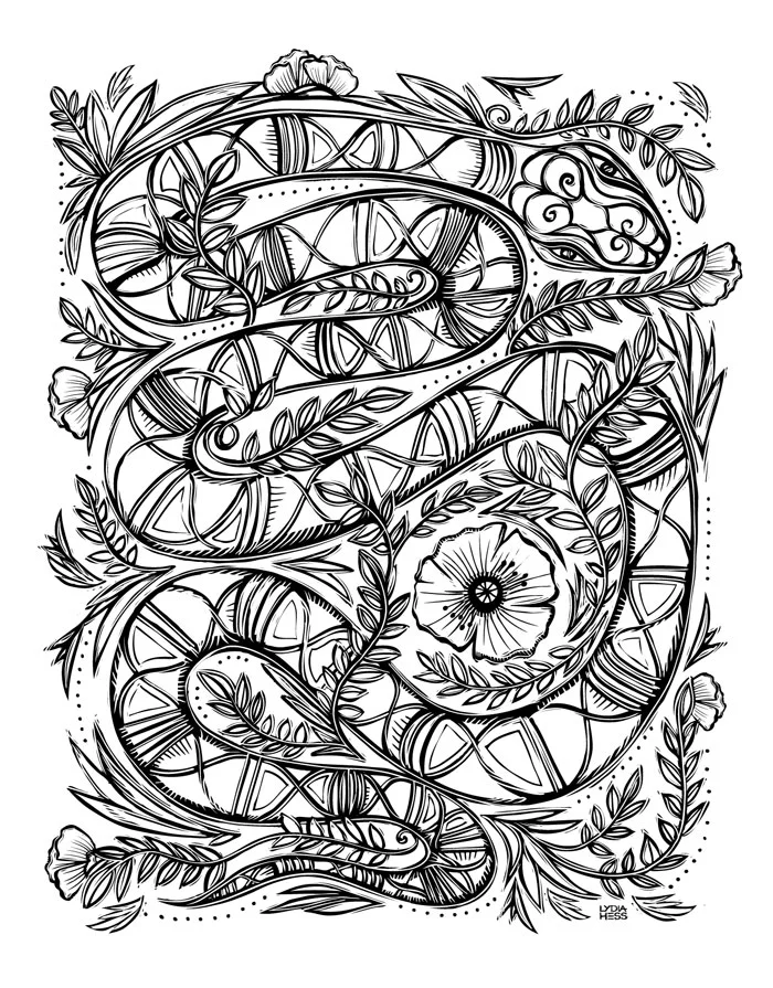 Download Sacred Animals Coloring Book Lydia Hess Illustration Design