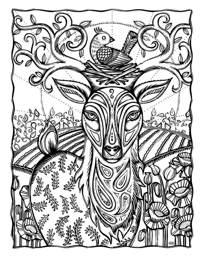 Sacred Animals Coloring Book Lydia Hess Illustration Design