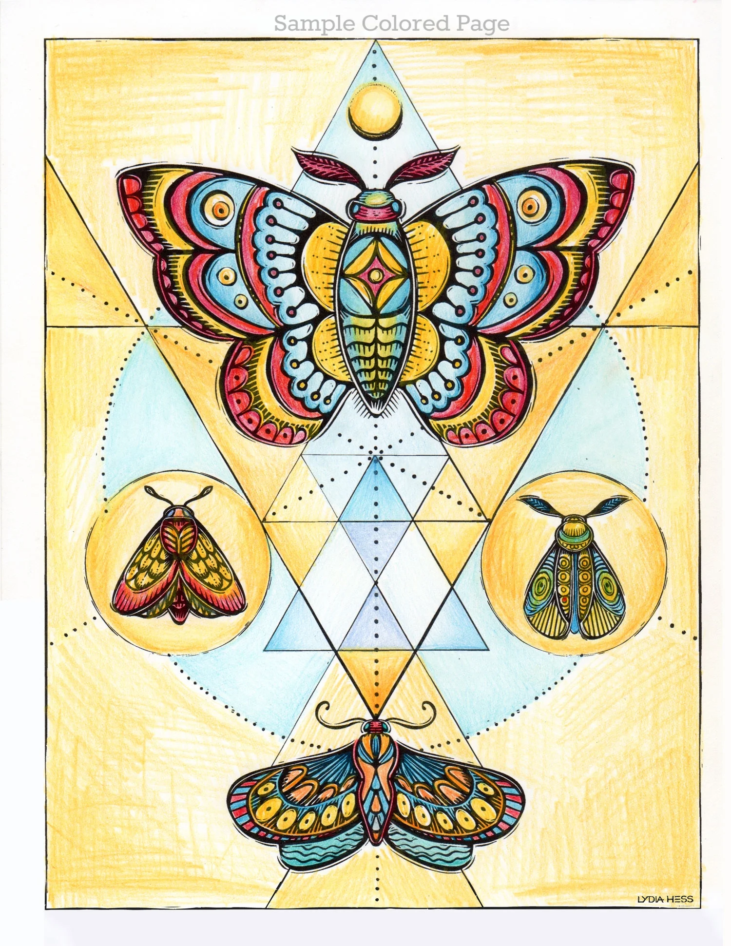 SA-Colored-moths001.jpg