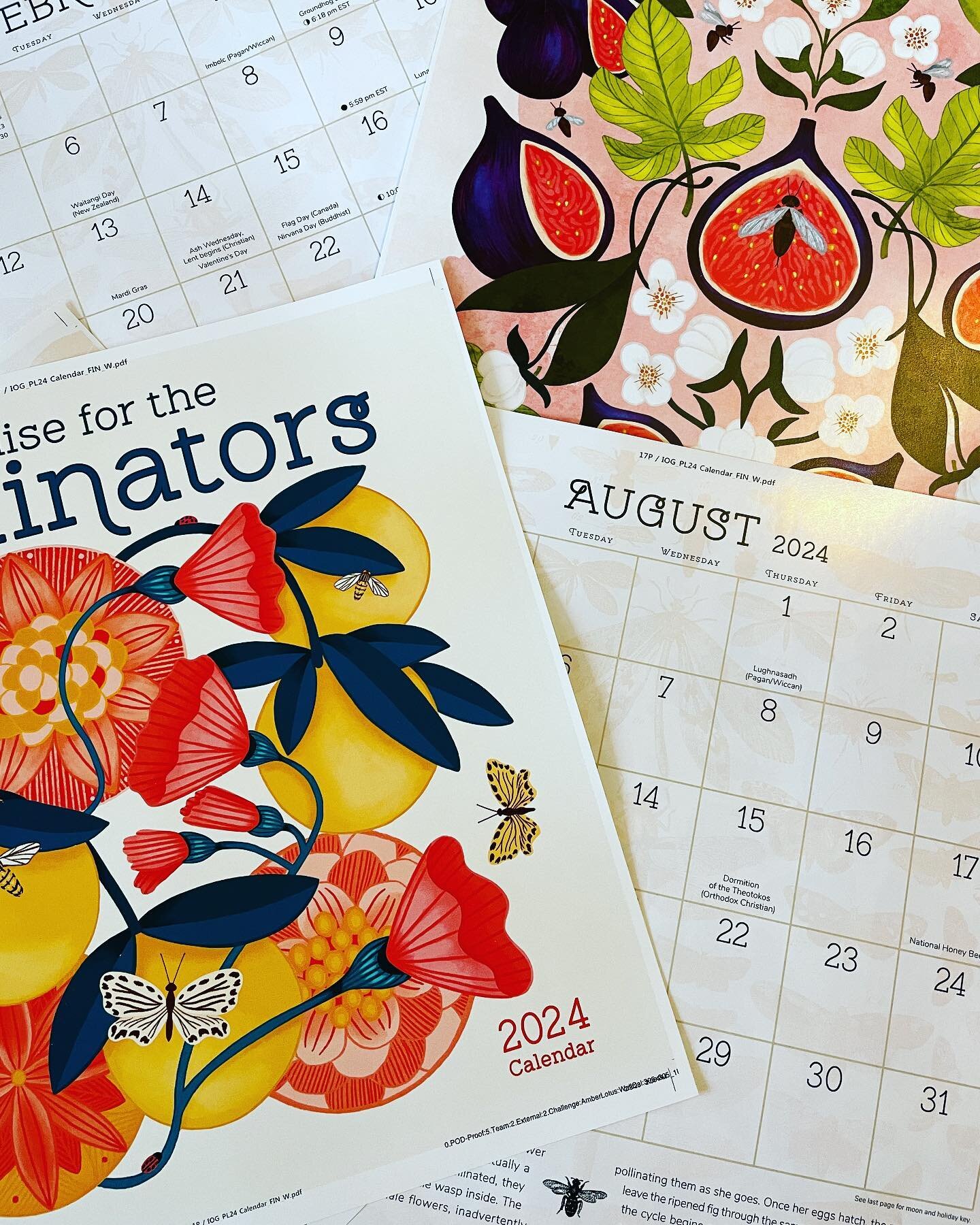 OMG!!! Gorgeous art in our #pollinators🐝 wall calendar. Proofing Week continues. Loved collaborating with @ninapacestudio @christinedecarvalho and @ritagould_illustration on this year&rsquo;s calendar project. Sue Sierralupe (author) offered wonderf