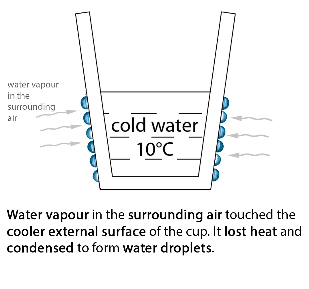condensation1.jpg