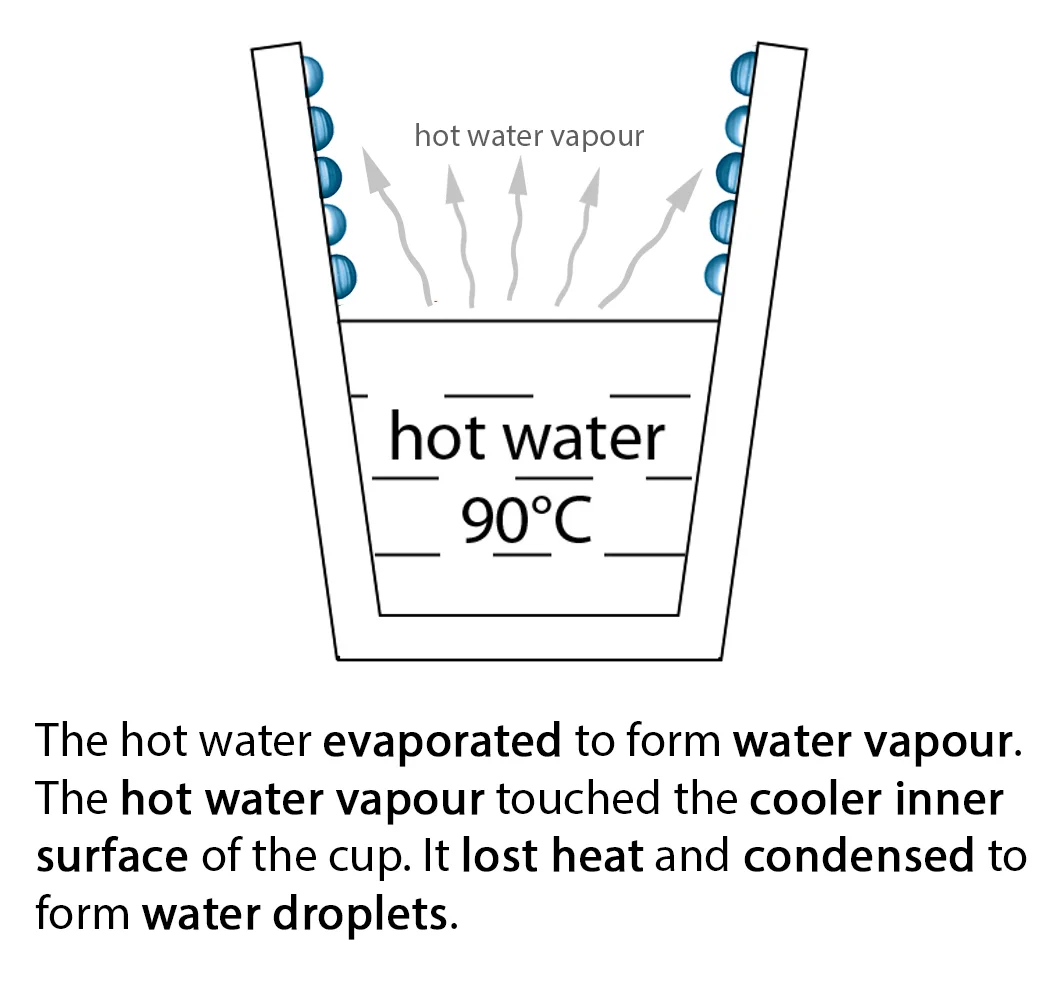 condensation1.jpg