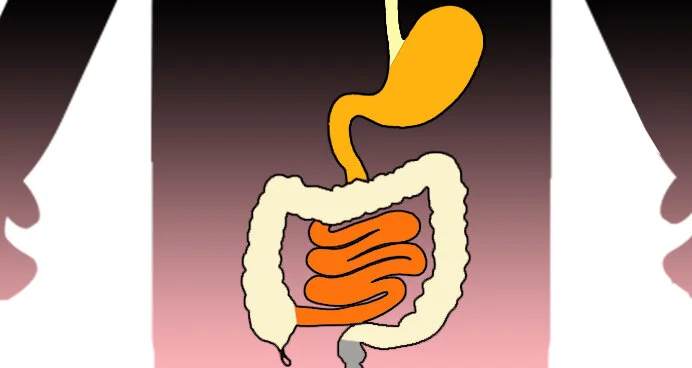 body system oeq1.jpg