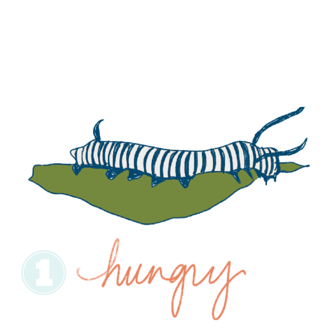 design-process-step-one