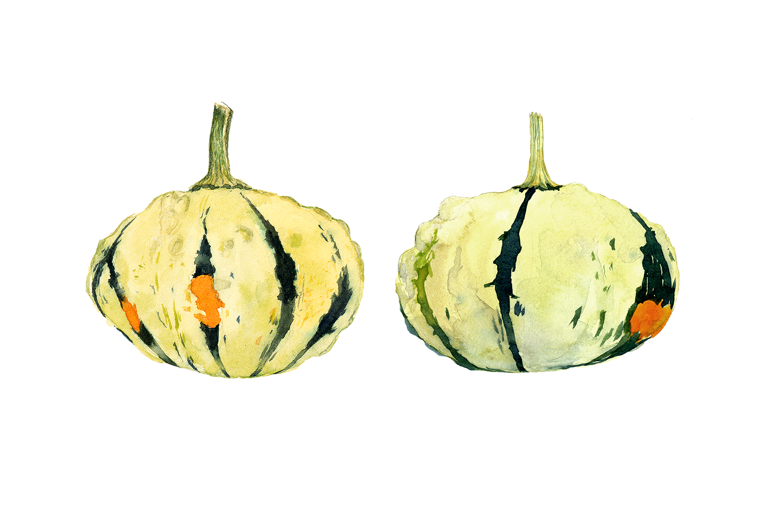 three-gourds.jpg