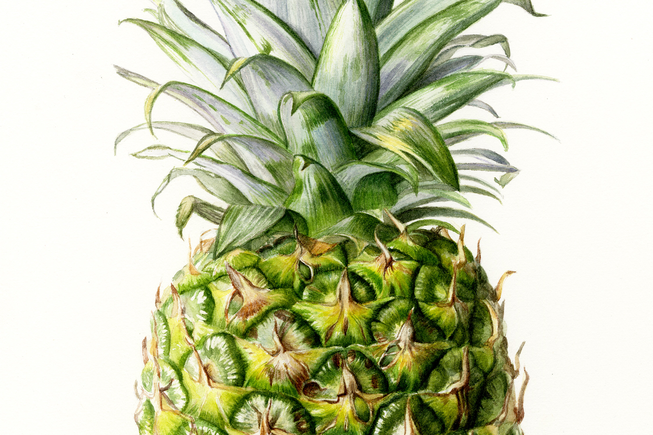 lr-pineapple closeup.jpg