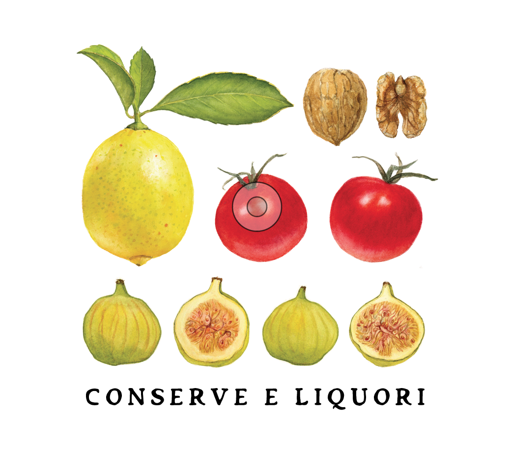conserve e liquori.png
